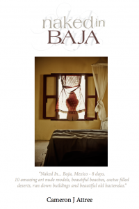 Naked In Baja eBook @ Blurb